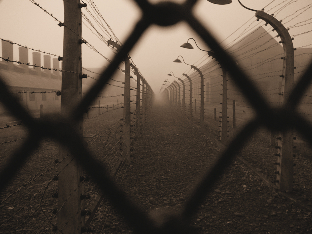 El primer Museo del Holocausto de Toronto ahora es «un lugar para escuchar a los sobrevivientes mucho después de que se hayan ido» El primer Museo del Holocausto de Toronto ahora es «un lugar para escuchar a los sobrevivientes mucho después de que se hayan ido»