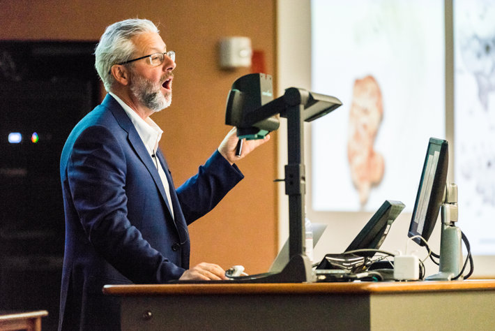 Professor delivering a presentation