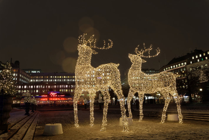 Reindeer in Christmas lights