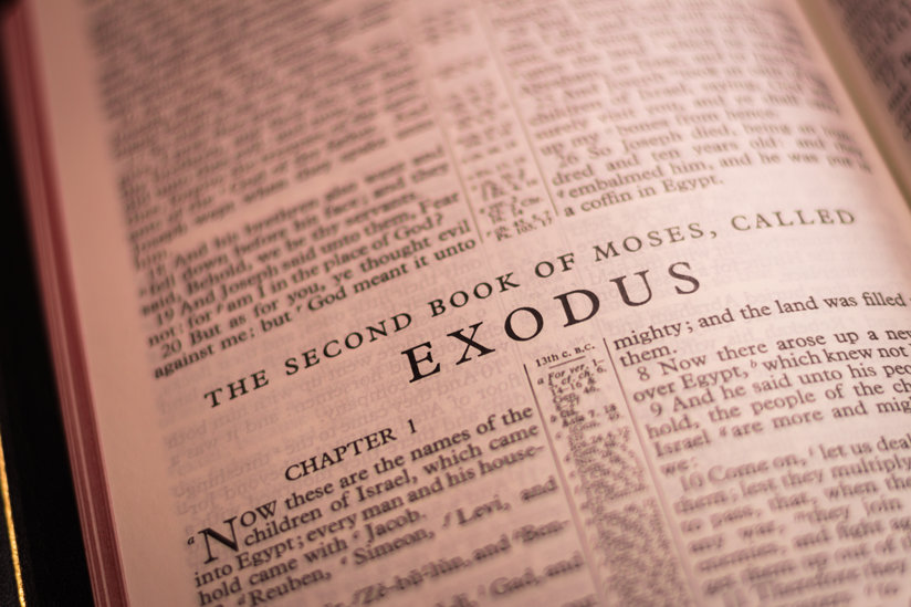 Book of Exodus image