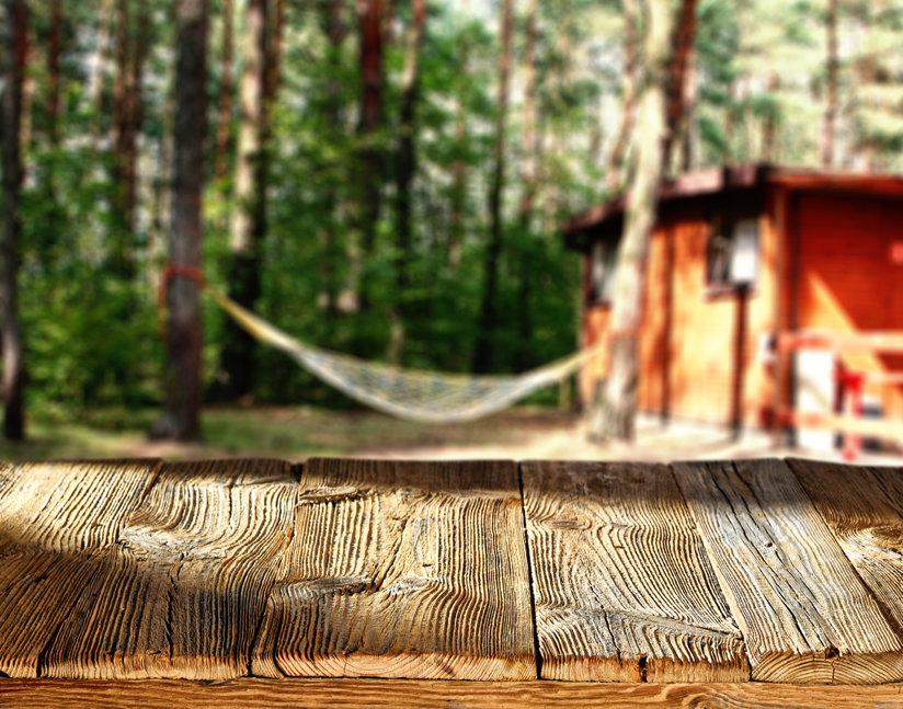 Hammock and house