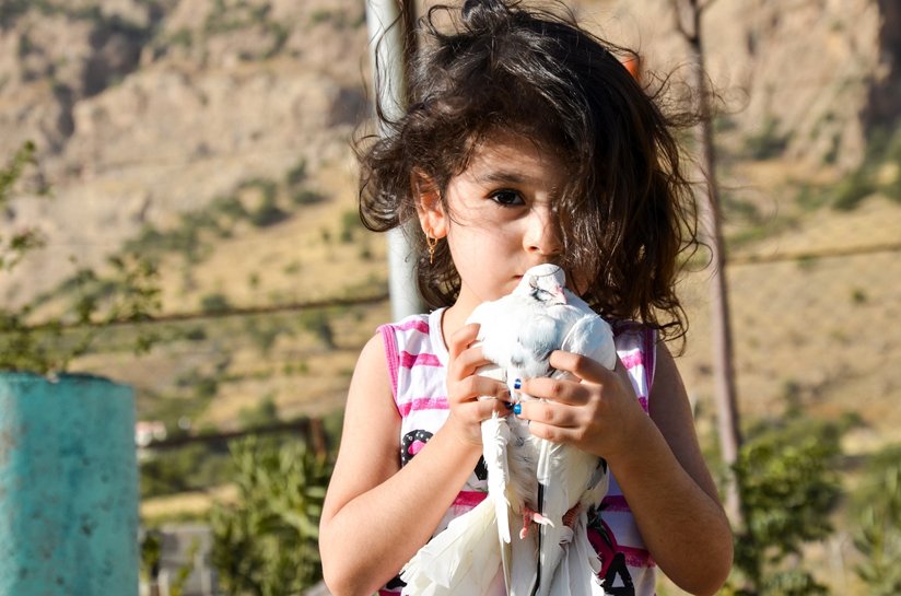 Little girl with a dove