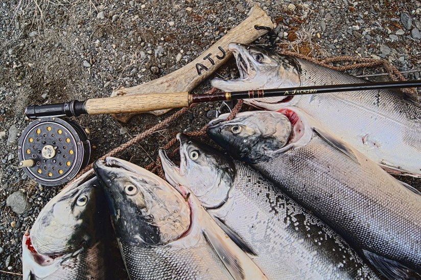 Several salmon on a hook