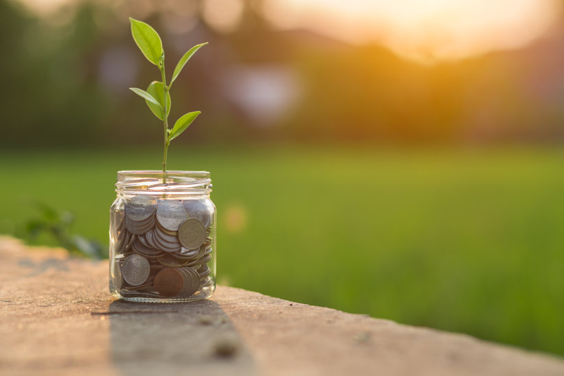 Plant coming out of coins